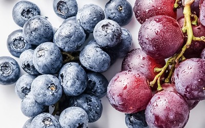 Alguns alimentos estimulam a criação de novos neurónios